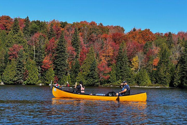 Hoteller i nærheden af Algonquin Park 3 - Day Deluxe Camping & Canoeing Adventure