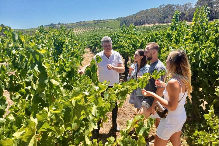 Restauranter i nærheden af McLaren Vale Small Group Wine Tour view d'Arenberg Cube inc