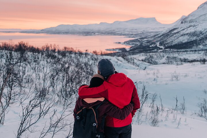 Abisko og Björkliden dagstur fra Kiruna med frokost