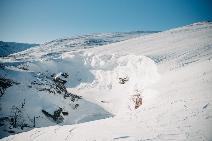 Abisko og Björkliden dagstur fra Kiruna med frokost