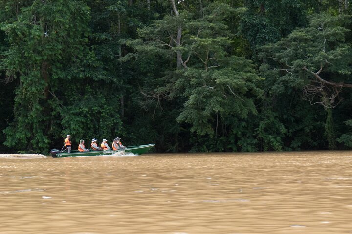Sandakan : 2D1N Sukau Rainforest Wildlife reis en cruises