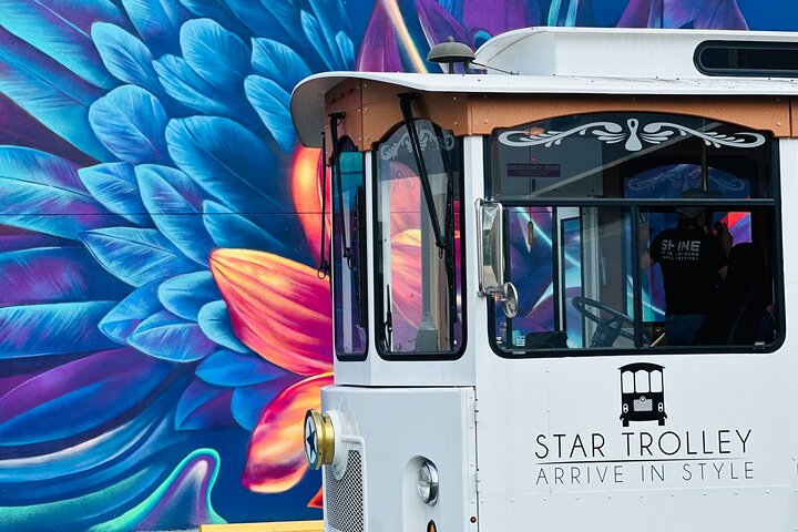 St Petersburg Ultimate (ALL-IN-ONE) City Trolley Tour