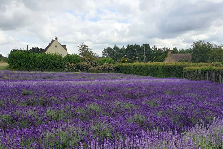 Private ganztägige Cotswolds Tour von London Historic Towns