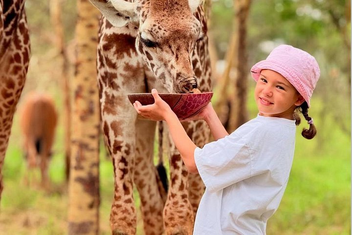 1 dagstur till Serval Wildlife Sanctuary och Massai Village Tour