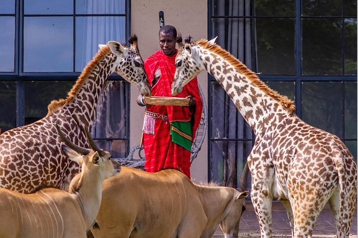 1 dagstur till Serval Wildlife Sanctuary och Massai Village Tour