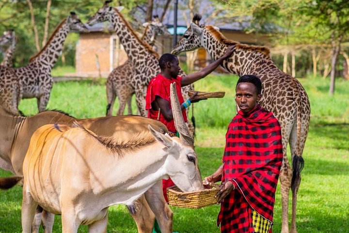 1 dagstur till Serval Wildlife Sanctuary och Massai Village Tour