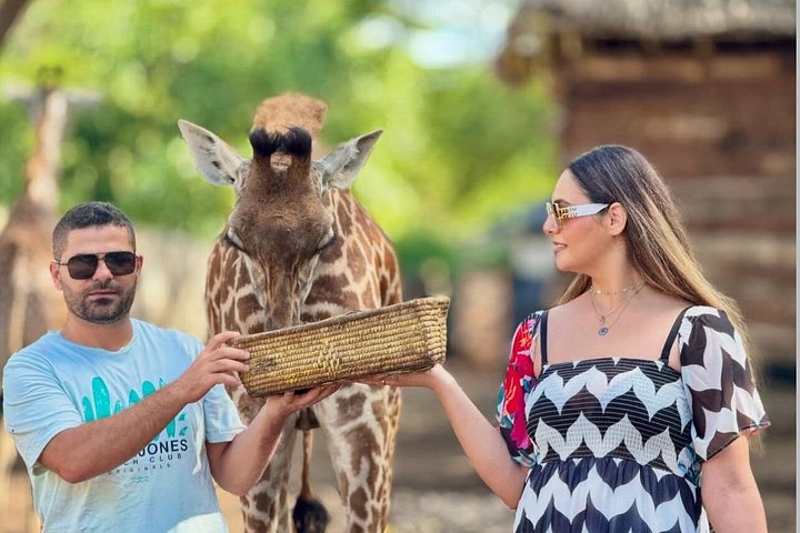 1 dagstur till Serval Wildlife Sanctuary och Massai Village Tour