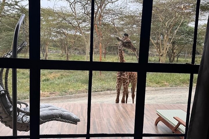 1 dagstur till Serval Wildlife Sanctuary och Massai Village Tour