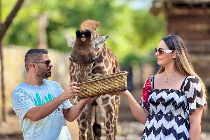 1 dagstur till Serval Wildlife Sanctuary och Massai Village Tour