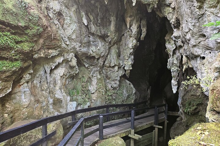 Hoteller i nærheden af Haruru Waterfalls and Glow Worm Caves Tour