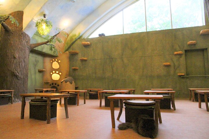 Hoteller i nærheden af Kichijoji - Forest Themed