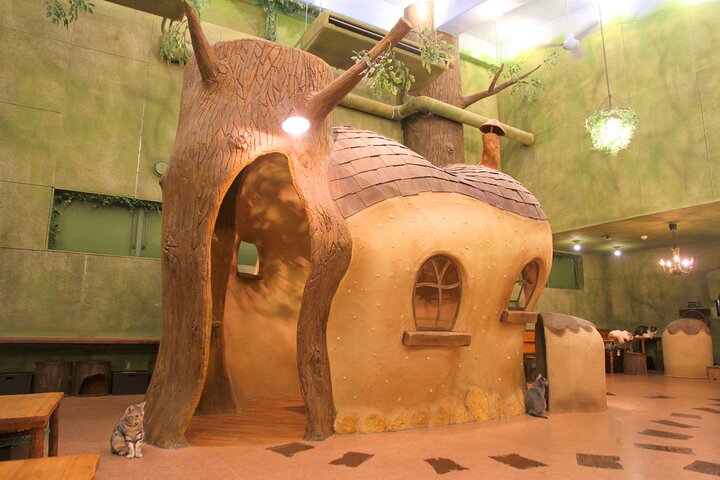 Hoteller i nærheden af Kichijoji - Forest Themed