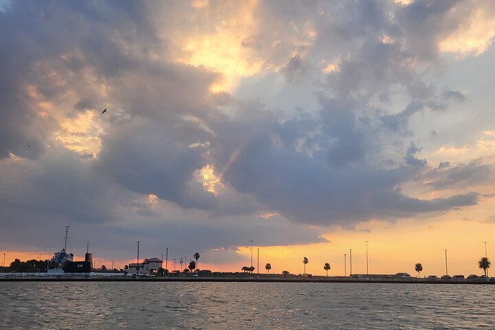 Crucero histórico por el puerto de Galveston con delfines