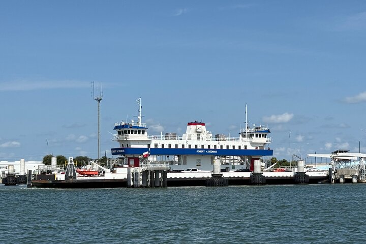 Crucero histórico por el puerto de Galveston con delfines