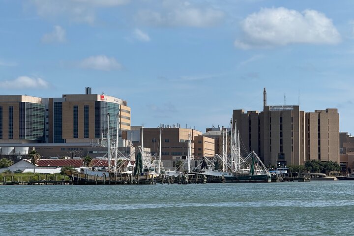Crucero histórico por el puerto de Galveston con delfines