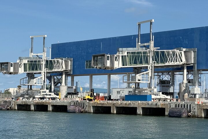 Crucero histórico por el puerto de Galveston con delfines