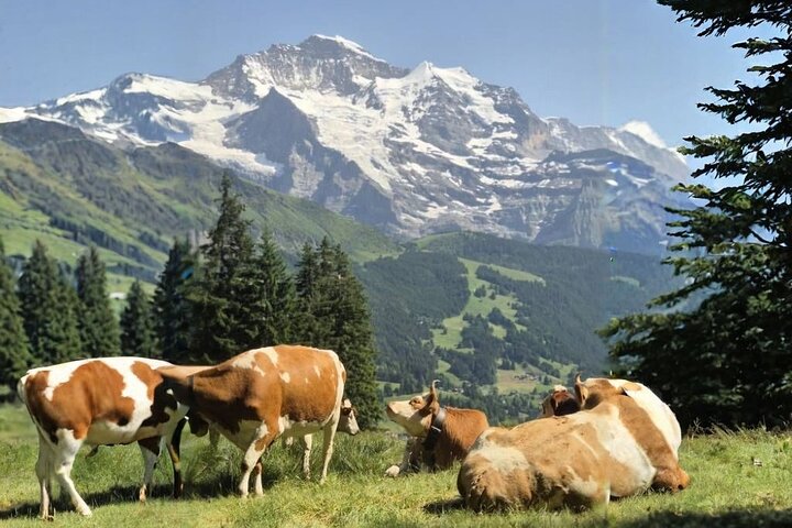 La migliore escursione al tramonto con Fonduta di Formaggio