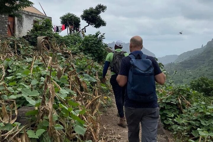 Ekologisk tur fra Serra Malagueta til Ribeira Principal