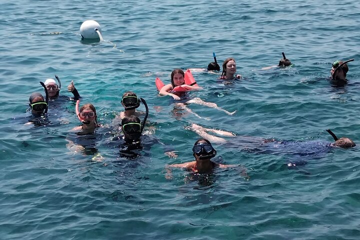 Caye Caulker Marine Reserve 3 detiene la aventura de buceo