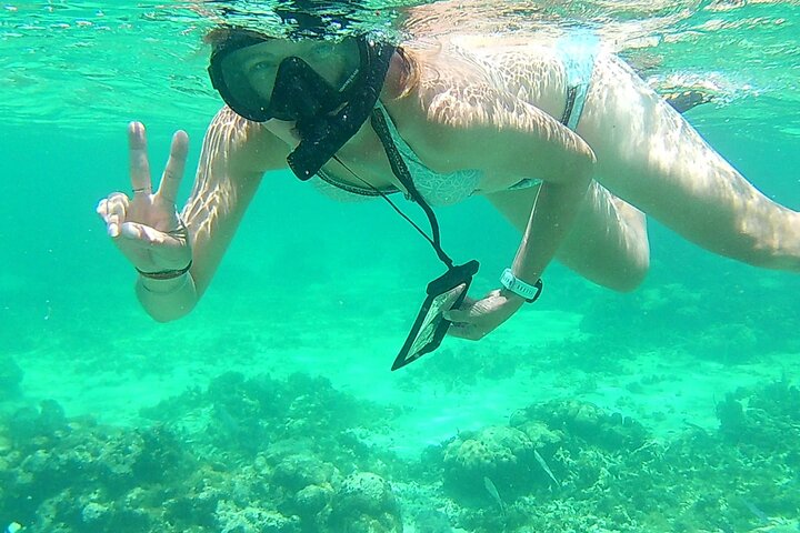 Caye Caulker Marine Reserve 3 detiene la aventura de buceo