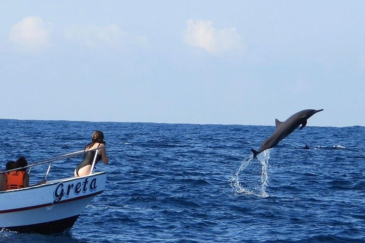 Delfin- und Walbeobachtungsbootsausflug in Puerto Escondido