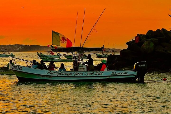 Delfin- und Walbeobachtungsbootsausflug in Puerto Escondido