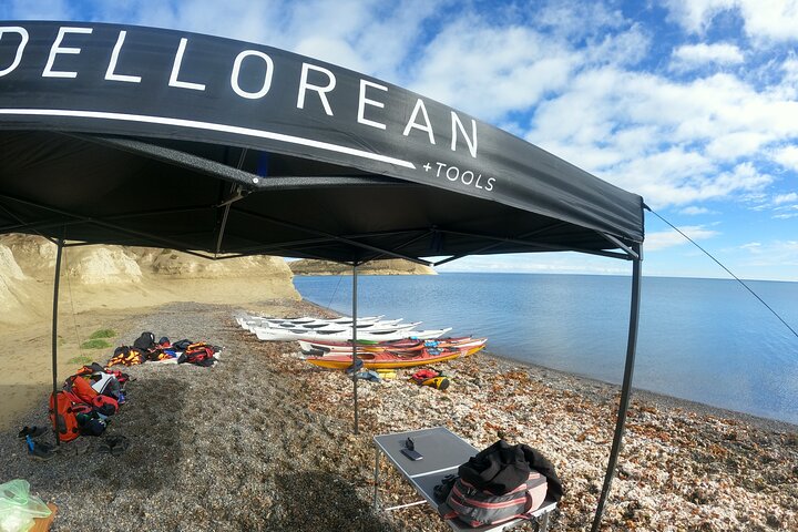 Esperienza di canoa in kayak con i leoni marini a Puerto Madryn
