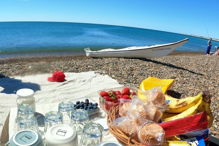 Esperienza di canoa in kayak con i leoni marini a Puerto Madryn