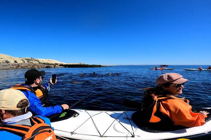 Esperienza di canoa in kayak con i leoni marini a Puerto Madryn