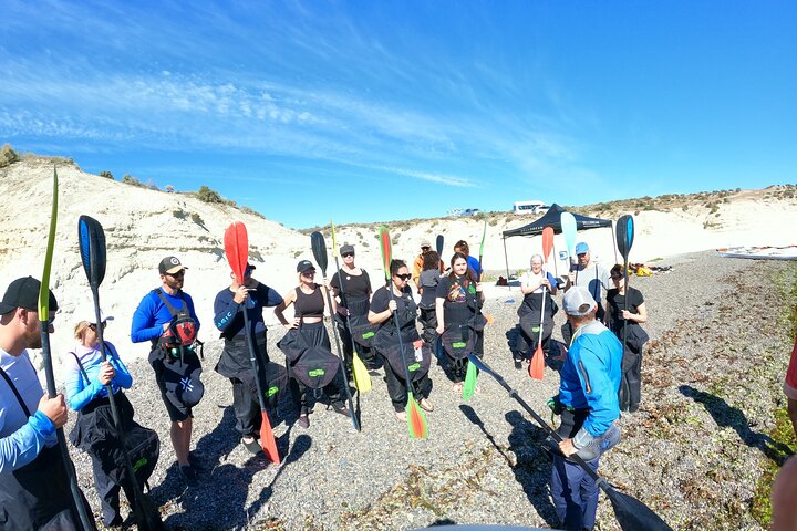 Esperienza di canoa in kayak con i leoni marini a Puerto Madryn