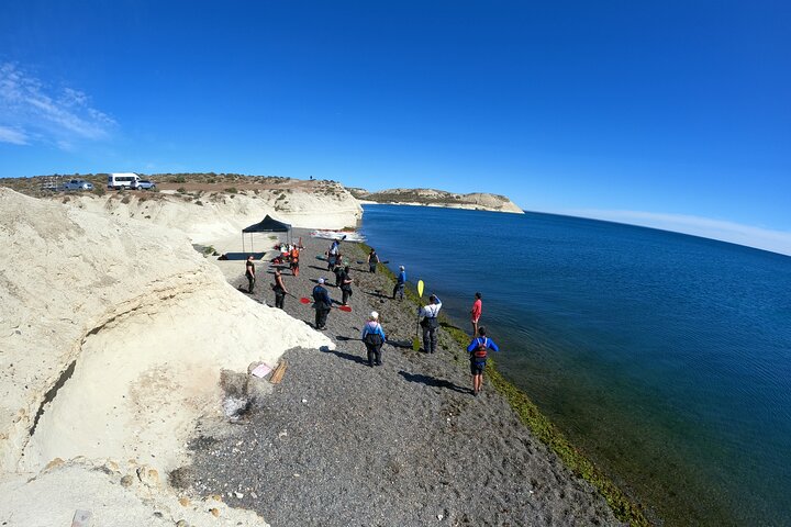 Esperienza di canoa in kayak con i leoni marini a Puerto Madryn