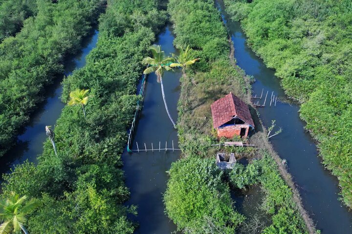 10 Dias de Meghalaya Privada e Assam Experience