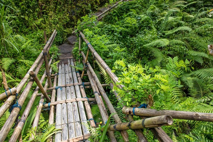 10 Dias de Meghalaya Privada e Assam Experience