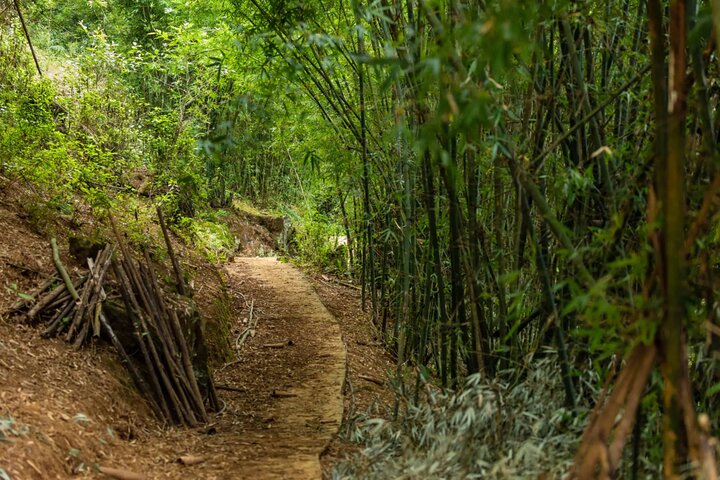 10 Dias de Meghalaya Privada e Assam Experience