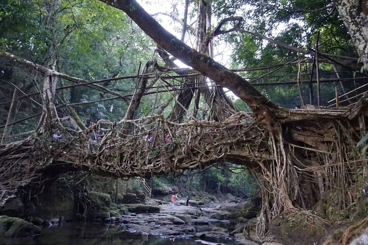 10 Dias de Meghalaya Privada e Assam Experience