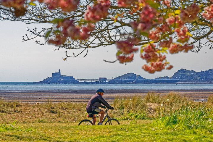 Hoteller i nærheden af Cardiff/Swansea: Gower Peninsula's Cliffs & Mumbles Day Tour