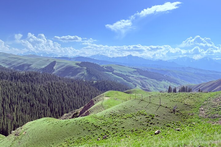 Private Day Tour naar Nanshan Pasture en Tianshan Grand Canyon