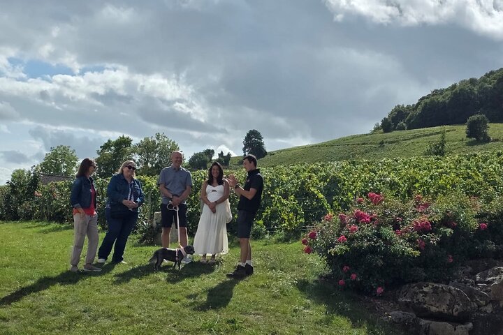 Visita di mezza giornata a Epernay South e degustazioni di champagne