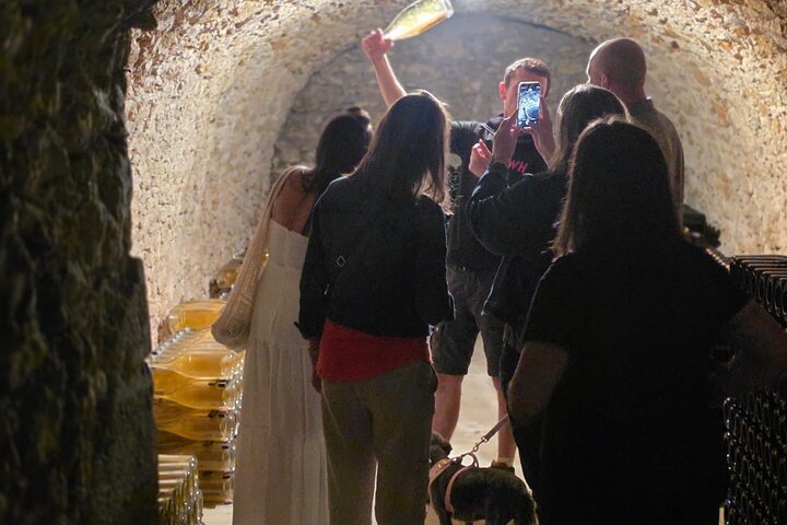 Visita di mezza giornata a Epernay South e degustazioni di champagne