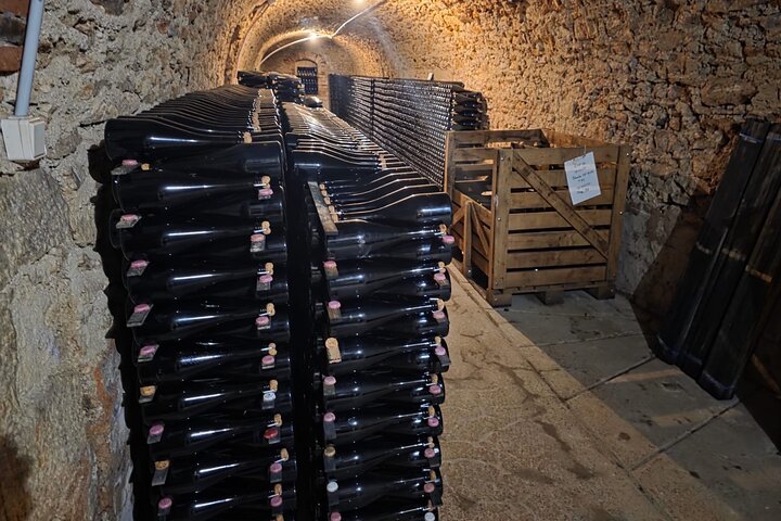 Visita di mezza giornata a Epernay South e degustazioni di champagne