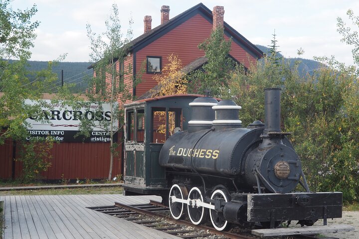 Día del Ártico: tour de senderismo en Carcross y los lagos del sur | día completo
