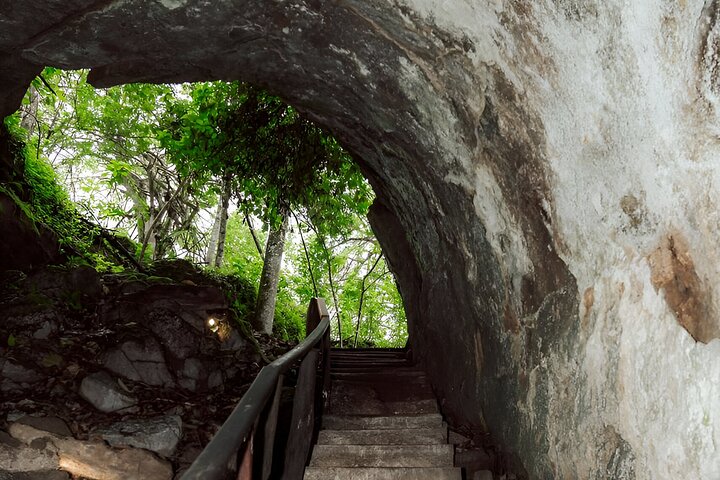 Hele dag Santa Cruz Ranch en Lava Tunnels Tour van Bahia