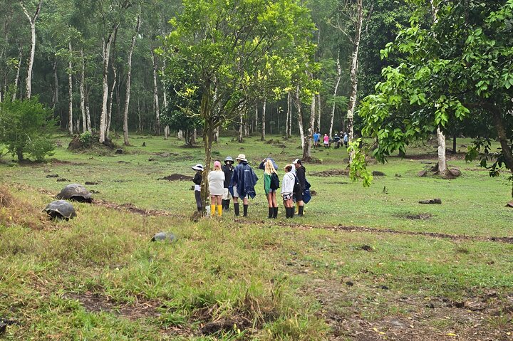 Hele dag Santa Cruz Ranch en Lava Tunnels Tour van Bahia