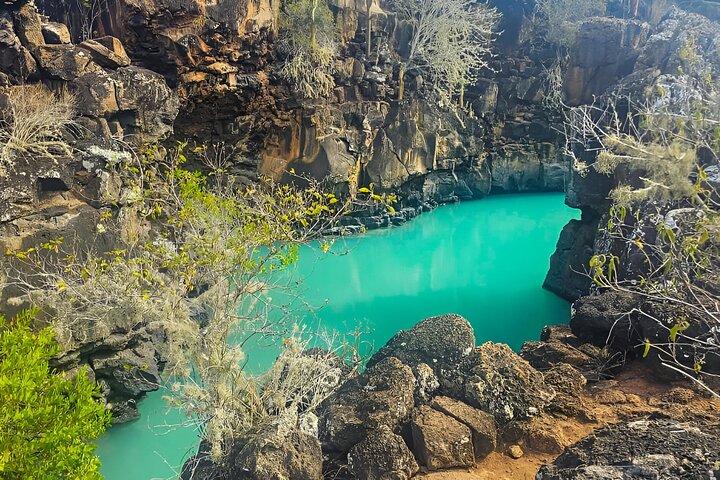 Hele dag Santa Cruz Ranch en Lava Tunnels Tour van Bahia