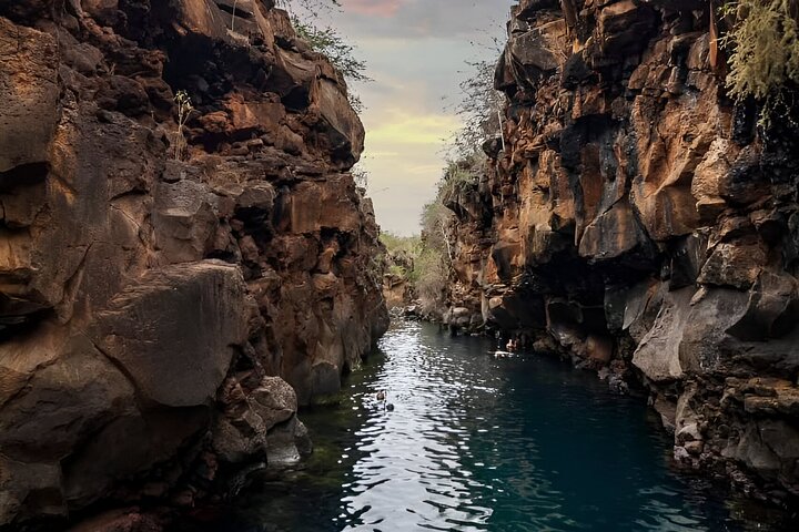 Hele dag Santa Cruz Ranch en Lava Tunnels Tour van Bahia