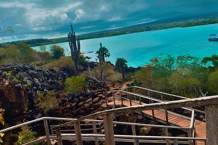 Hele dag Santa Cruz Ranch en Lava Tunnels Tour van Bahia