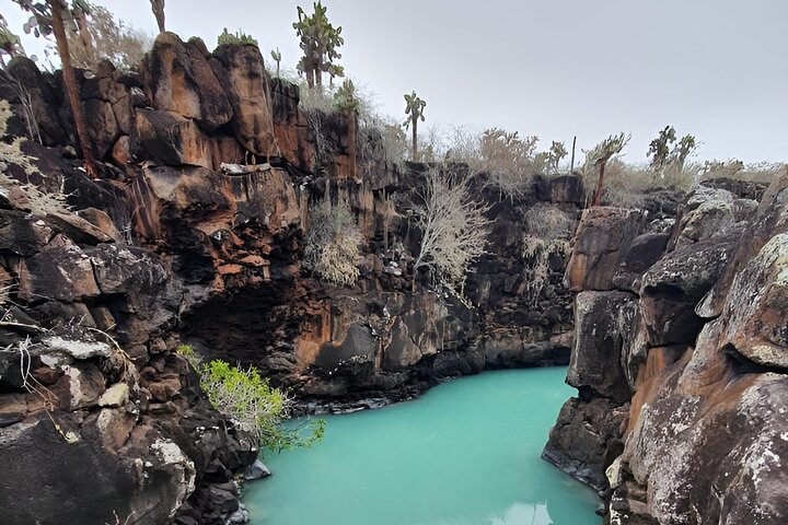 Hele dag Santa Cruz Ranch en Lava Tunnels Tour van Bahia