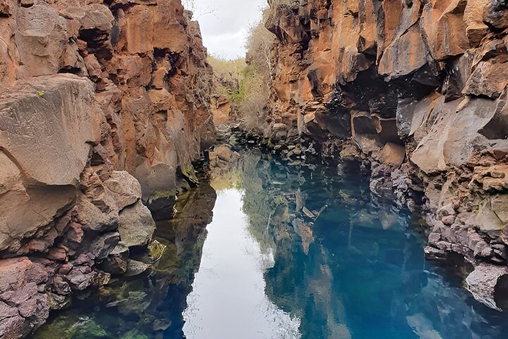 Hele dag Santa Cruz Ranch en Lava Tunnels Tour van Bahia