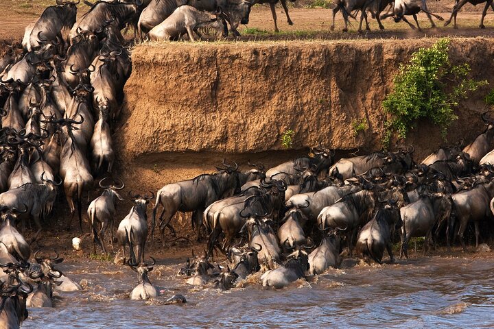 3 dagars äventyr till Masai Mara National Reserve på en 4X4 fordon
