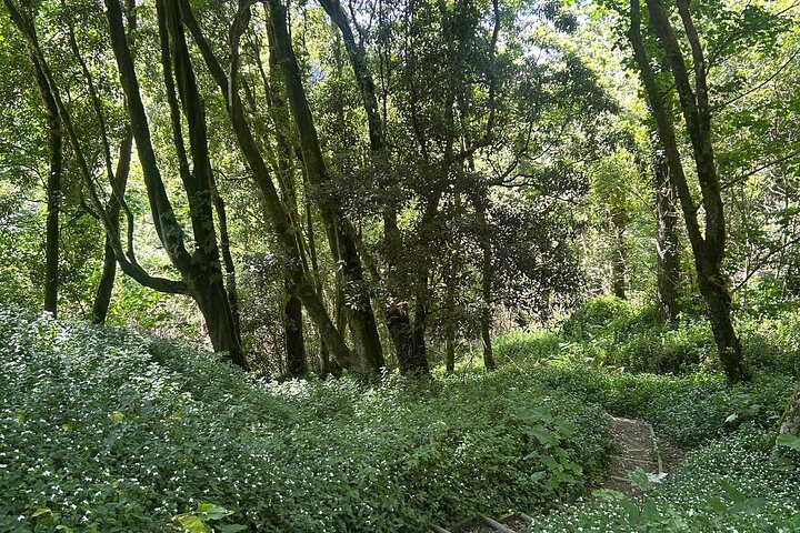 Privat tur Sintra, Pena Palace og Cascais fra Lissabon